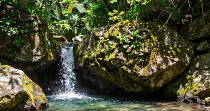 20 Top Geheime Ausflugsziele in Hessen